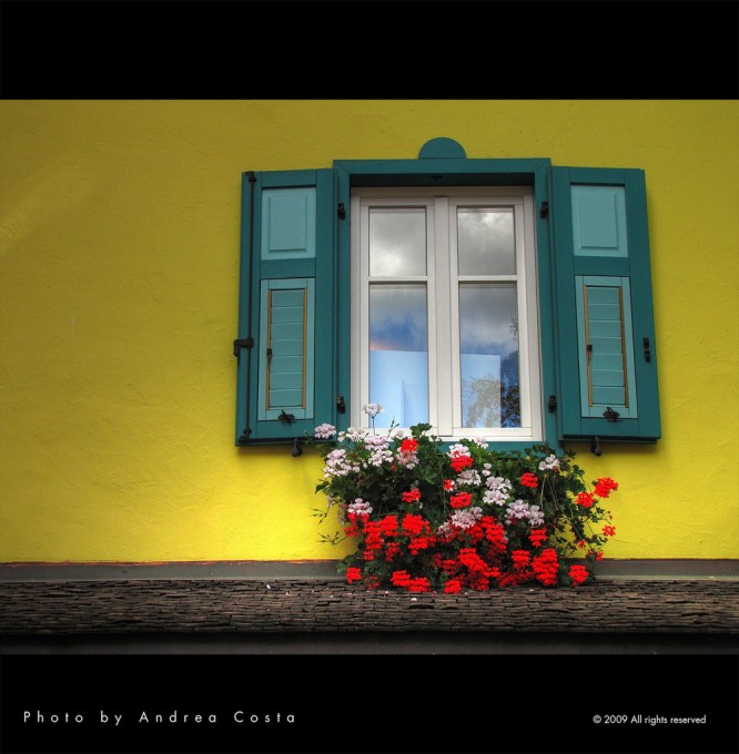 黄色窗户，Andrea Costa Photography拍摄