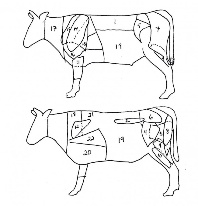 牛肉构造