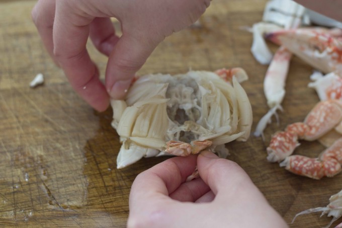 meimanrensheng.com how to dress a crab 6 remove the dead man's fingers