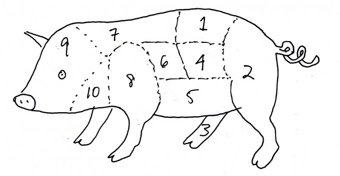 Pig diagram