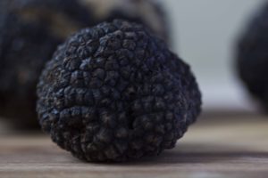 truffle, summer black truffle, pristine