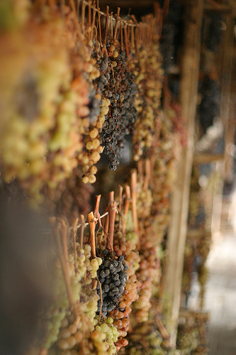 用来酿造Vin Santo的葡萄干，Chris Pencis拍摄