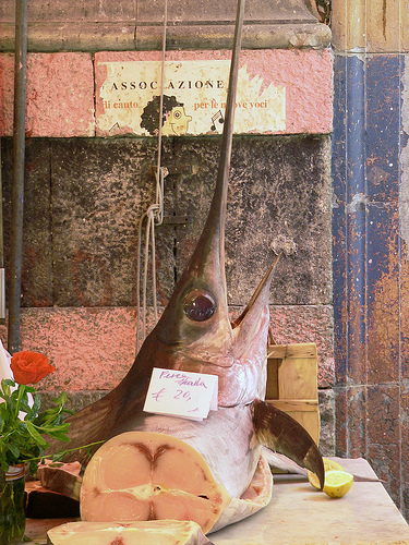 巴勒莫La Vucciria市场的旗鱼，Steve Silverman拍摄