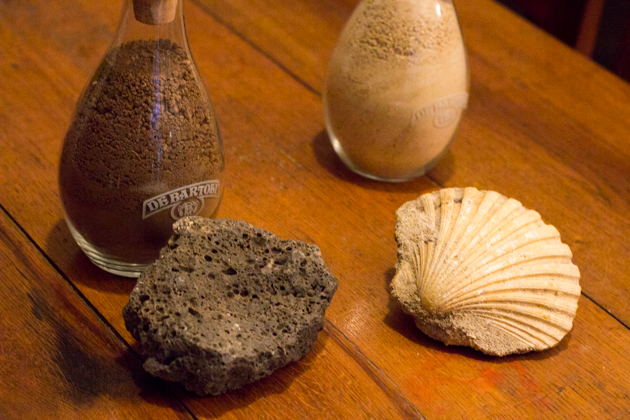 土壤的组成成分：石灰岩和贝壳